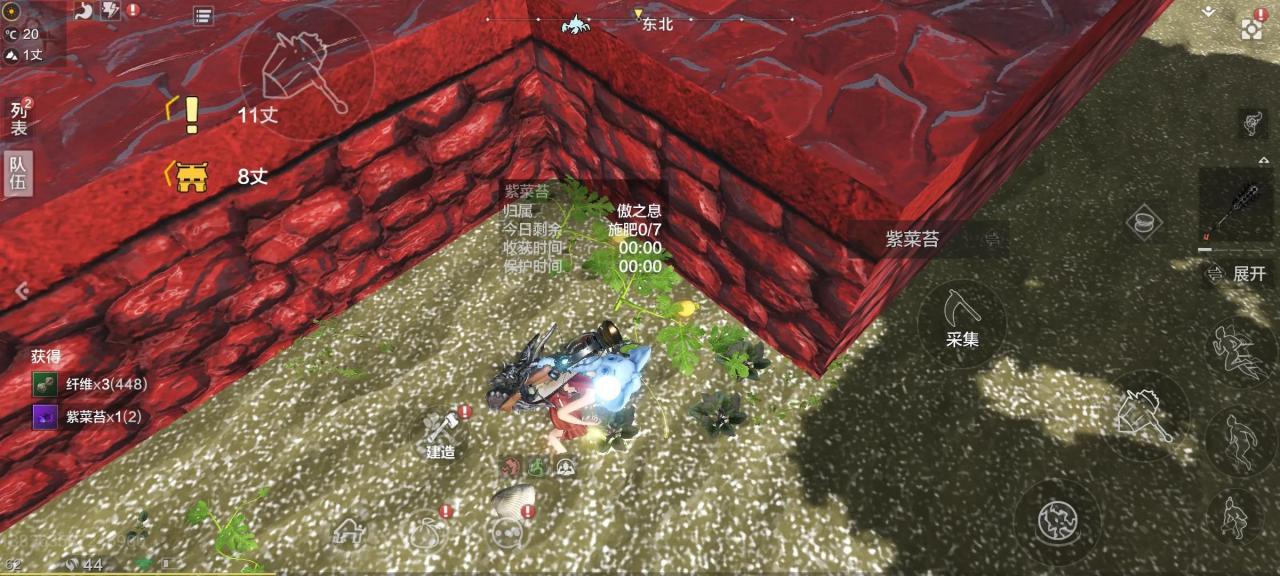 妄想山海如何获得高级菜教程（妄想山海高级菜烹饪攻略）