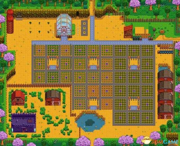 switch星露谷物语攻略（switch星露谷物语新手怎么开局）