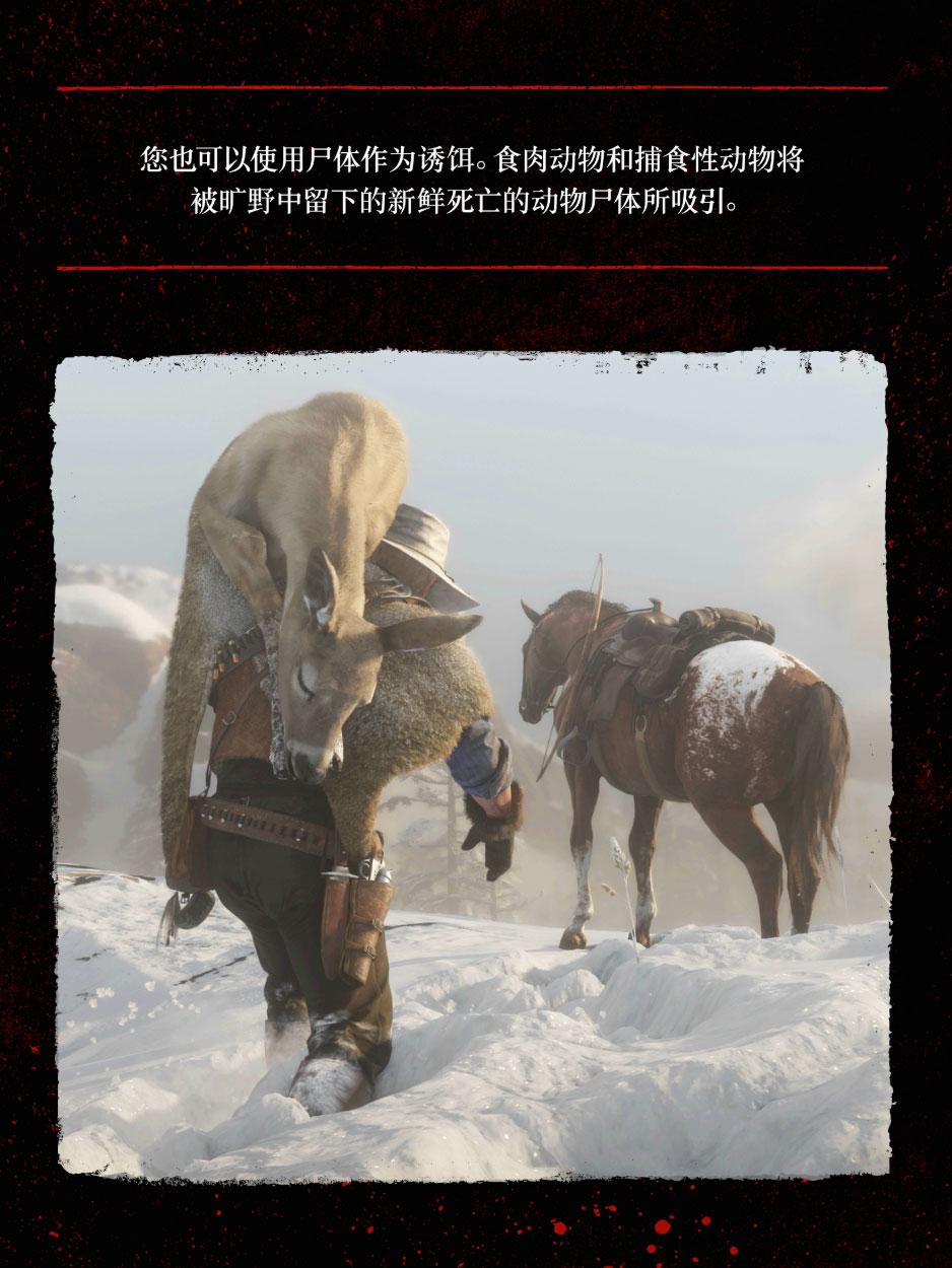ps4荒野大镖客2怎么看时间（大镖客救赎2设置大全）