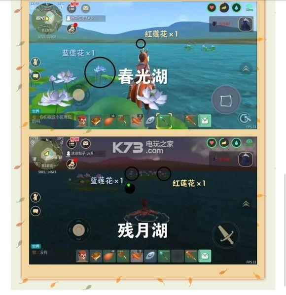 创造与魔法红莲花和蓝莲花的位置在哪（创造与魔法红蓝莲花刷新时间及地点）