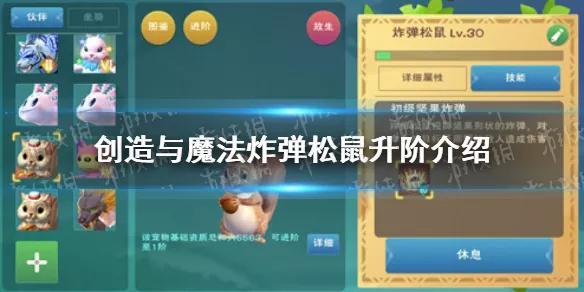 创造与魔法炸弹松鼠怎么升阶（创造与魔法炸弹松鼠升阶攻略）