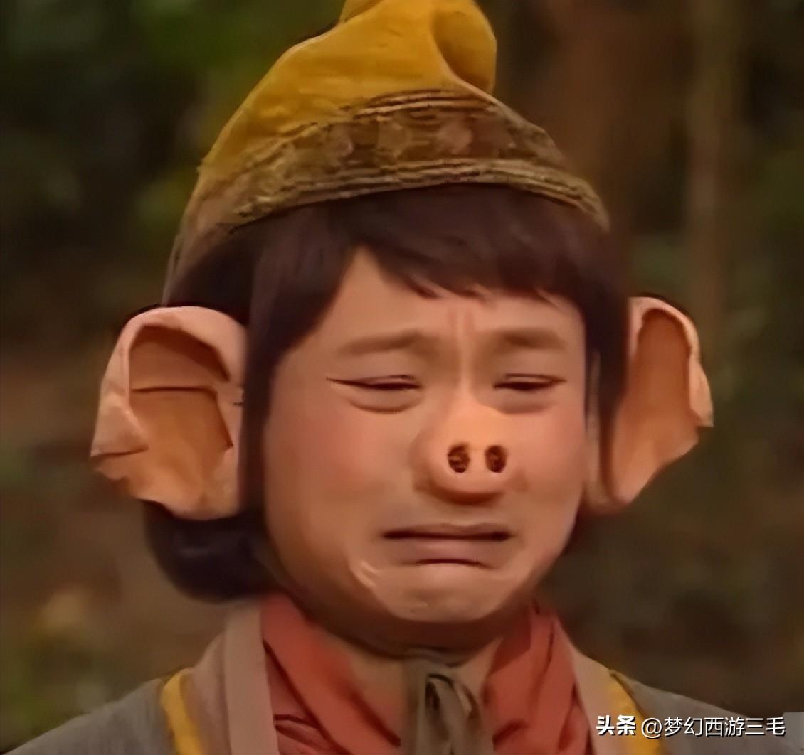 梦幻西游难民5开怎么养号（梦幻西游烟花三月的难民五开的养号记录）
