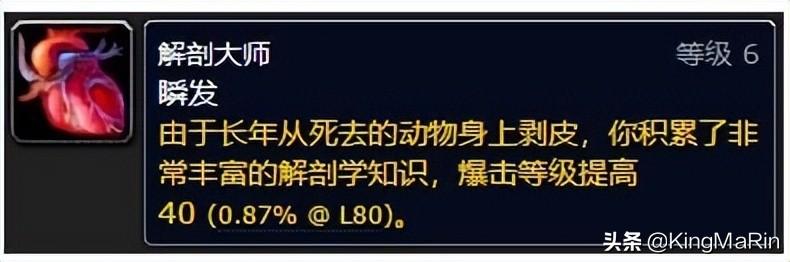 魔兽世界各职业技能表详解（怀旧服各专业技能新增收益解析）