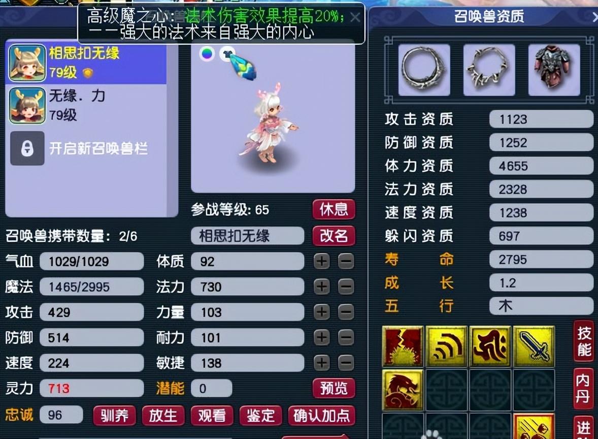 梦幻西游养号优先顺序（梦幻西游70级五开优先提升什么）