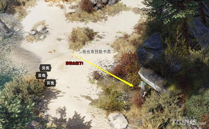 神界原罪2召唤技能书哪里买（神界原罪2技能书NPC获得位置图解一览）