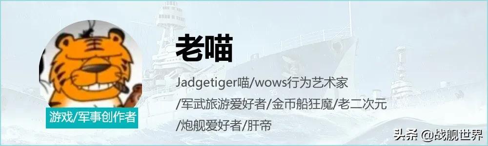 战舰世界日系巡洋舰怎么玩（战舰世界新版本日系驱逐舰加点推荐）