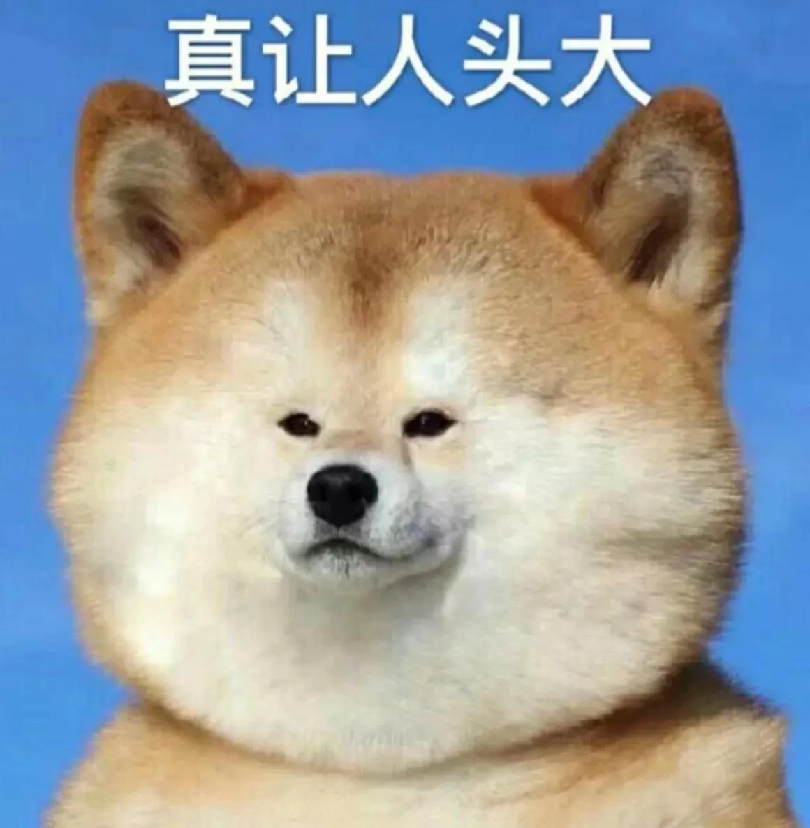 魔王寨宝石怎么搭配（魔王寨技能及加点攻略）