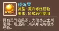 69级花果山带什么法宝（梦幻西游手游69精锐花果山攻略）