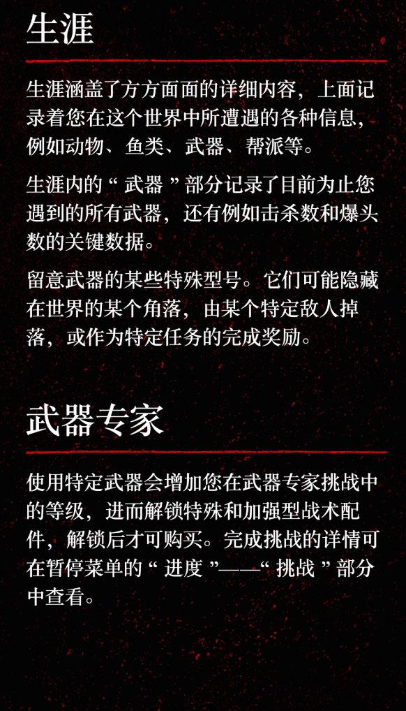 ps4荒野大镖客2怎么看时间（大镖客救赎2设置大全）