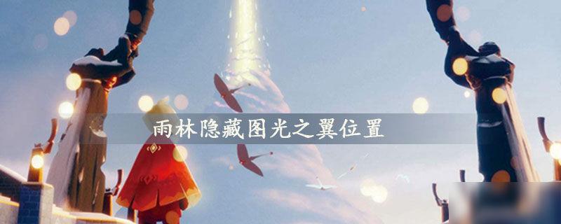 光遇雨林翅膀在哪里获得（光遇16个雨林隐藏图光之翼位置详细）
