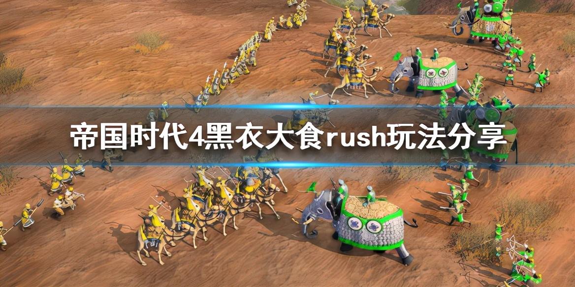 帝国时代4如何对抗法兰西（帝国时代4黑衣大食rush玩法介绍）