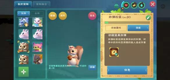创造与魔法炸弹松鼠怎么升阶（创造与魔法炸弹松鼠升阶攻略）