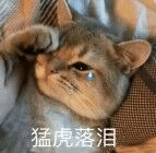 我叫mt4平民职业推荐（我叫mt4零氪职业介绍2022）
