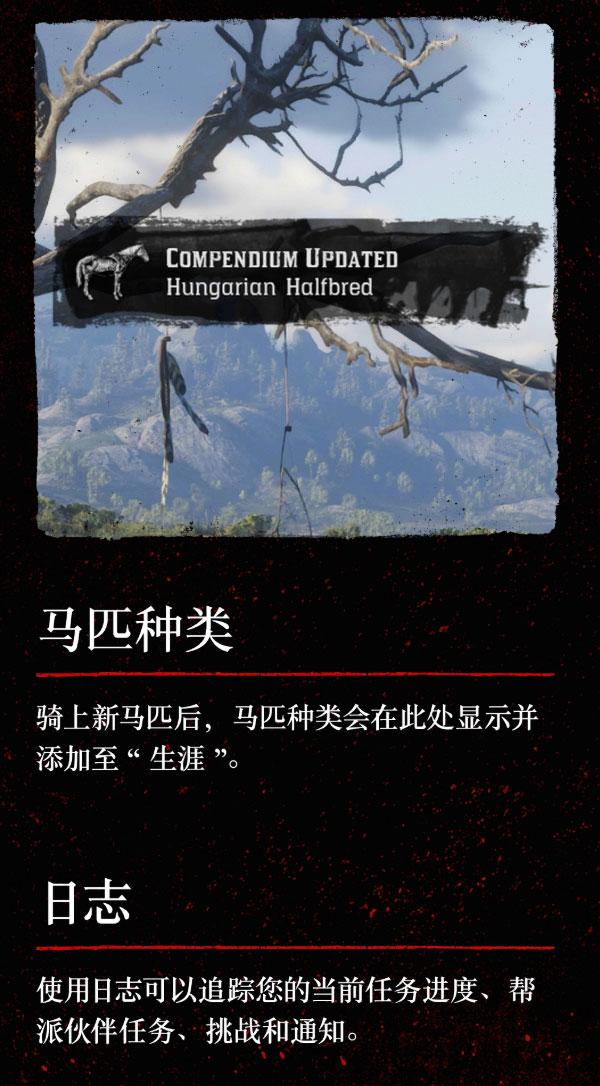 ps4荒野大镖客2怎么看时间（大镖客救赎2设置大全）
