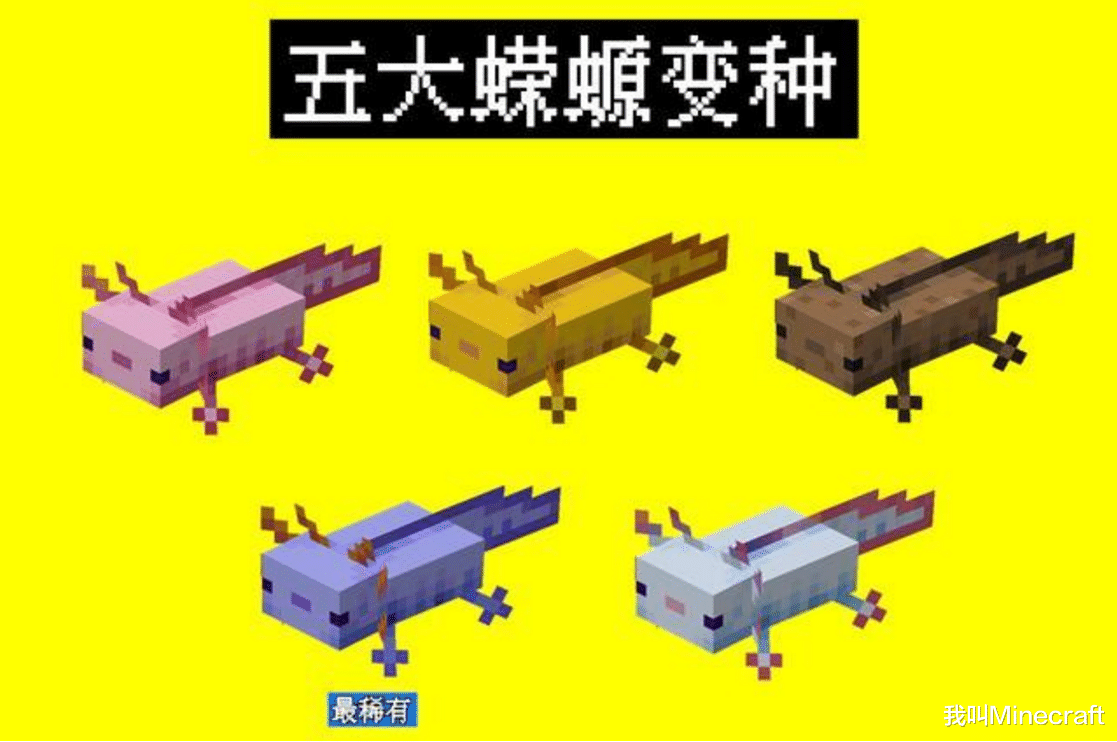 我的世界蝾螈在哪里生成（我的世界里的蝾螈作用介绍及玩法技巧）