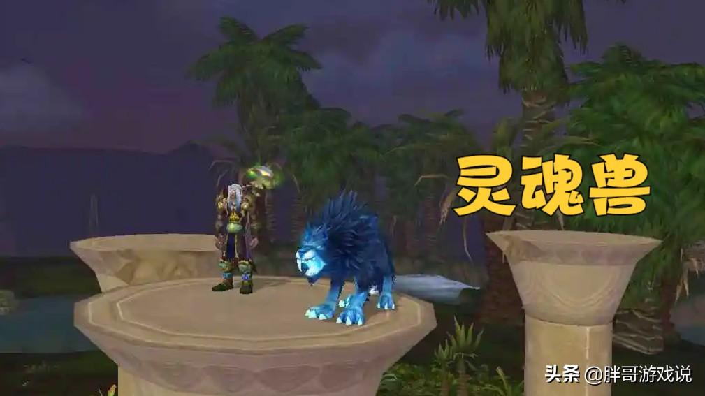 tbc猎人副本天赋推荐（猎人天赋机制的变化及装备入手难度）