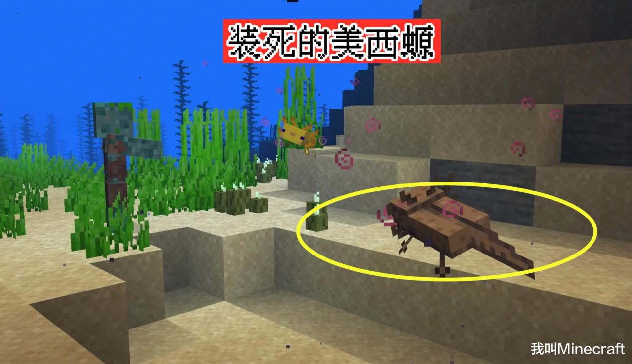 我的世界蝾螈在哪里生成（我的世界里的蝾螈作用介绍及玩法技巧）