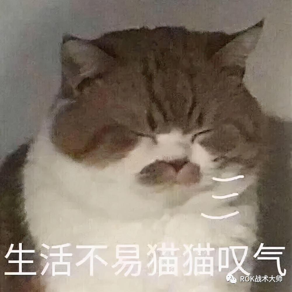 万国觉醒步兵有哪些（万国觉醒步兵迭代介绍）