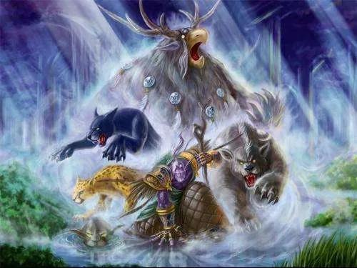 魔兽世界德鲁伊详细介绍（魔兽世界巫妖王之怒德鲁伊四系专精的详细介绍）