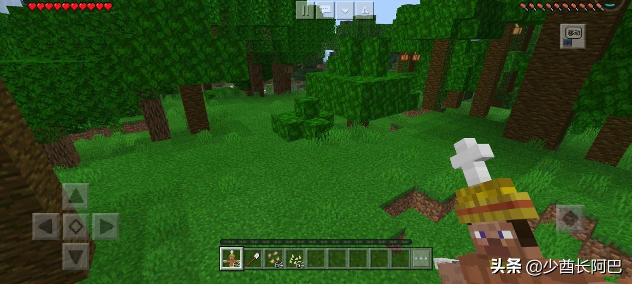 我的世界适合生活玩家的必装mod（我的世界推荐MOD大全）