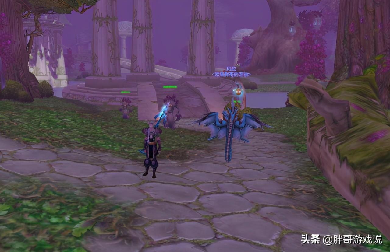 魔兽tbc猎人宝宝天赋怎么加点（Tbc猎人宝宝加点方案及副本技能选择）