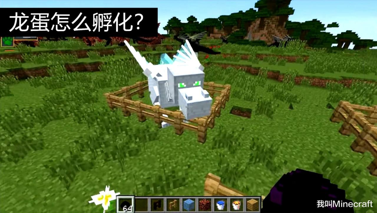 我的世界龙蛋怎么孵化（Minecraft里的龙蛋孵化教程）