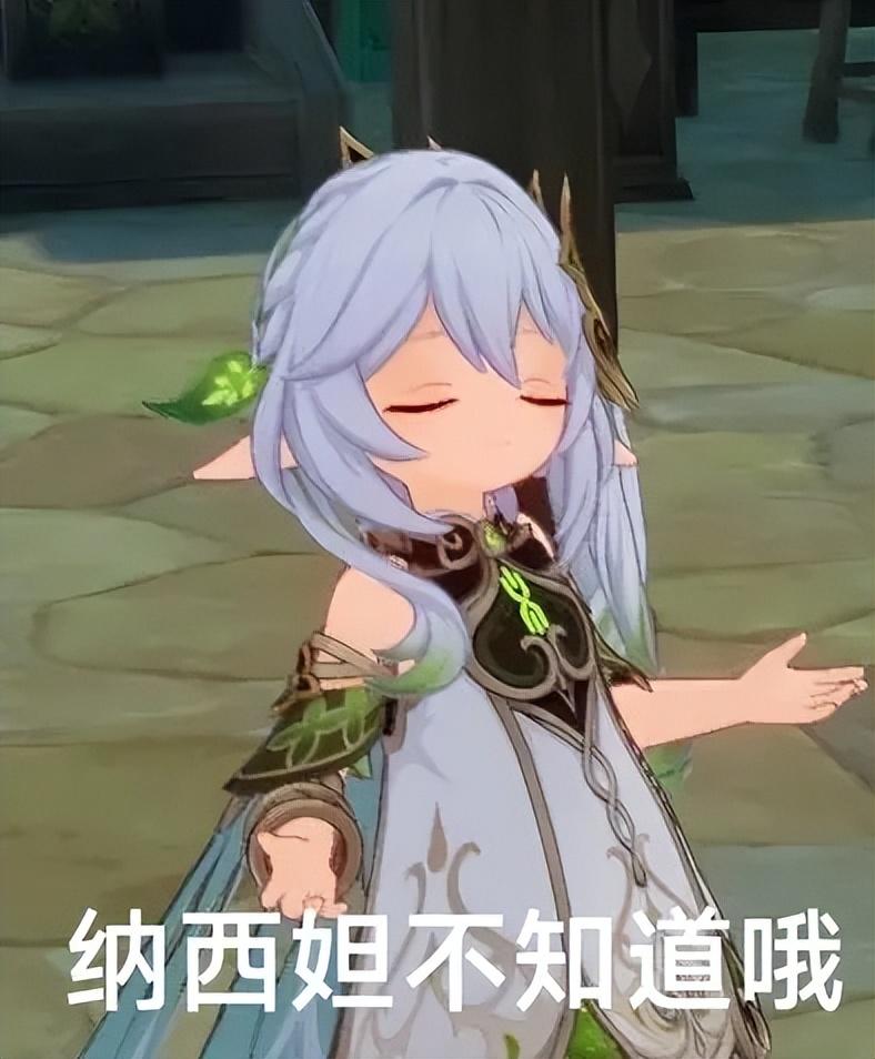 原神妮露用什么四星武器好（原神妮露的详细培养攻略）