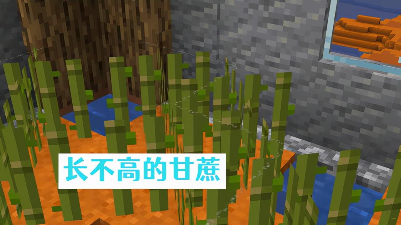 我的世界坑人陷阱教学（我的世界史上最难逃脱的陷阱）