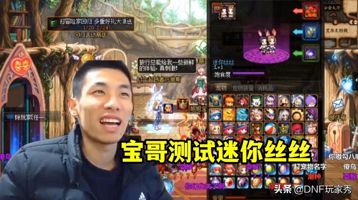 dnf宠物排行榜2022（dnf绝版宠物排行榜）