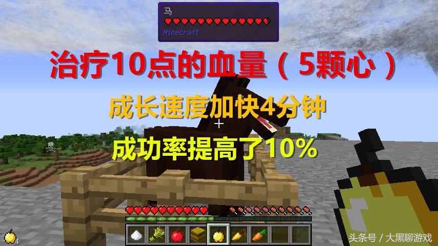 我的世界马吃什么食物（我的世界怎么养马）