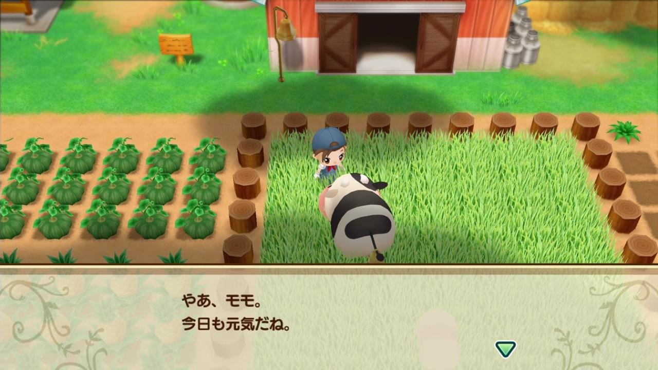 牧场物语重聚矿石镇第一年春季攻略（牧场物语矿石镇春季完美流程）