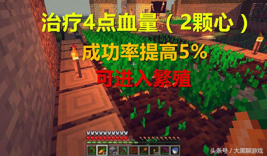我的世界马吃什么食物（我的世界怎么养马）