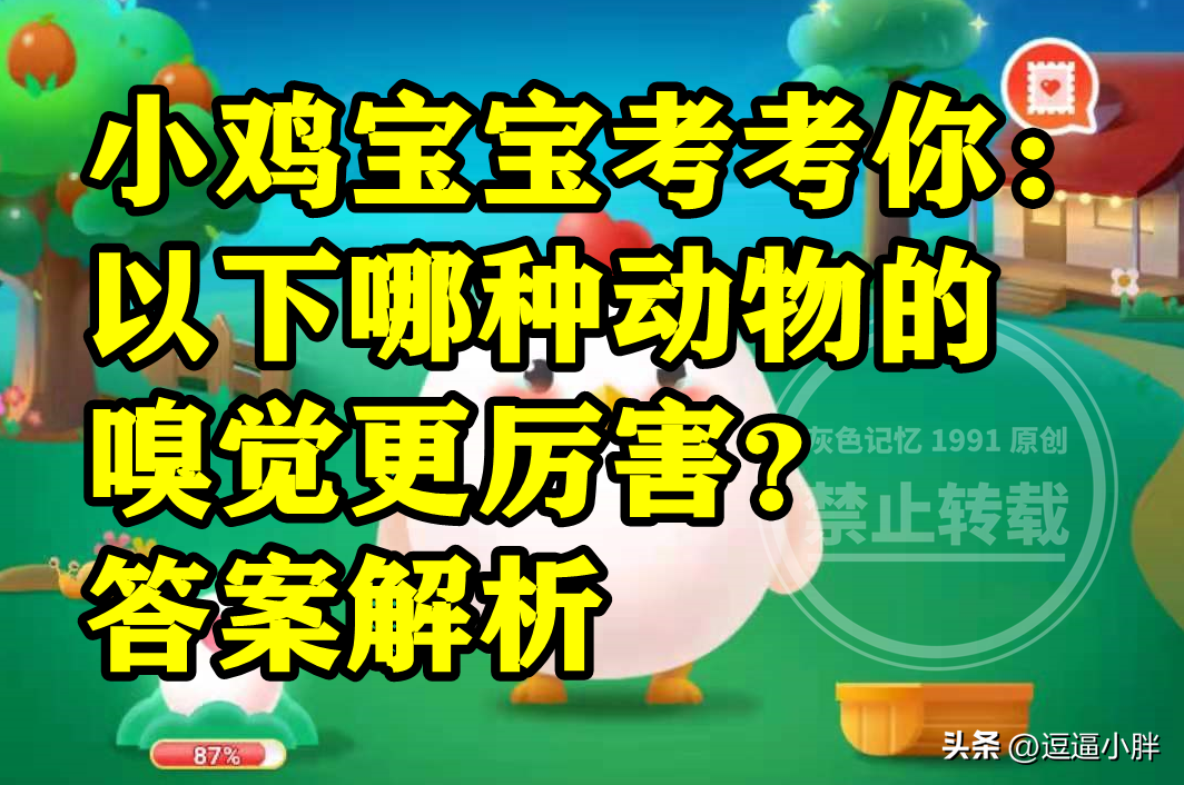 蚂蚁庄园哪种动物嗅觉更厉害（蚂蚁庄园嗅觉最厉害的动物是哪个正确答案解析）