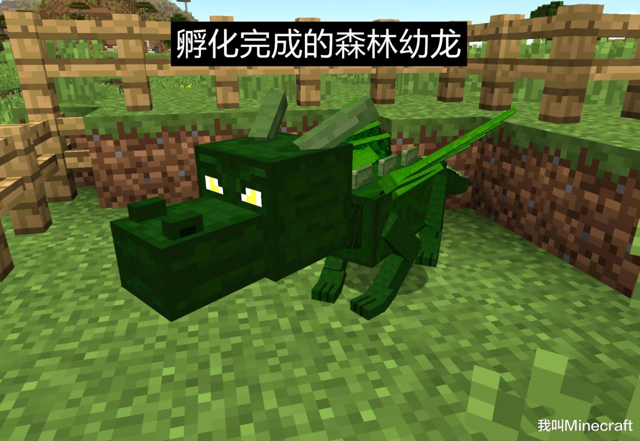 我的世界龙蛋怎么孵化（Minecraft里的龙蛋孵化教程）