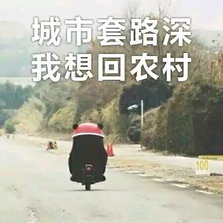 剑灵不氪金玩什么职业（剑灵新手及回坑玩家指南）