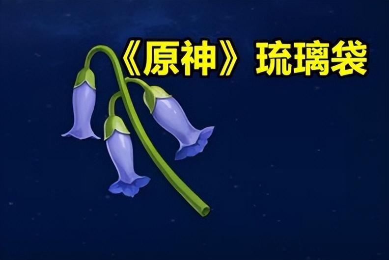 原神最难收集的突破材料介绍（原神突破最令玩家头疼的材料）