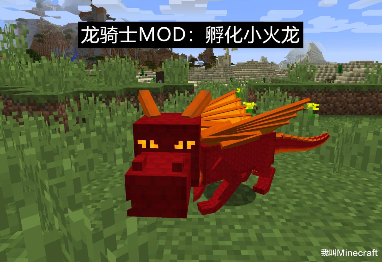 我的世界龙蛋怎么孵化（Minecraft里的龙蛋孵化教程）