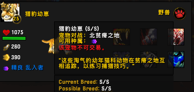 魔兽世界宠物快速提升25级（魔兽世界如何让宠物快速升级）