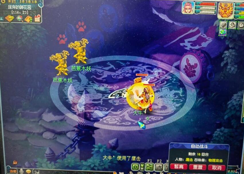 梦幻西游乌鸡国副本攻略（梦幻西游乌五开速刷乌鸡国的技巧）