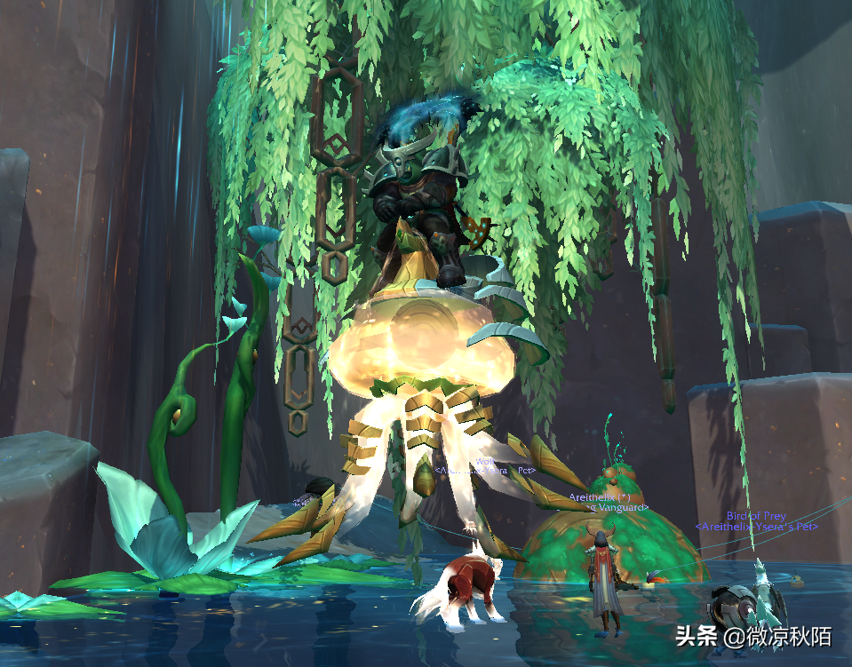 魔兽自己能刷的坐骑（魔兽3个野外直接掉落的坐骑）