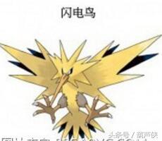 究极日月捕捉点一览表（宝可梦究极日月 历代神兽捕抓地点及心得）