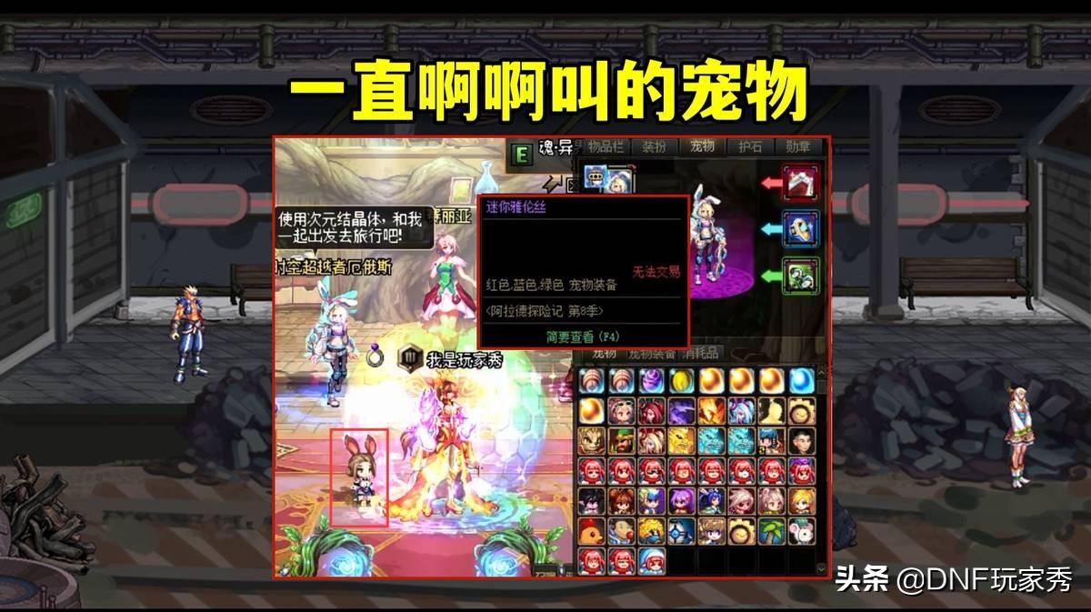 dnf宠物排行榜2022（dnf绝版宠物排行榜）