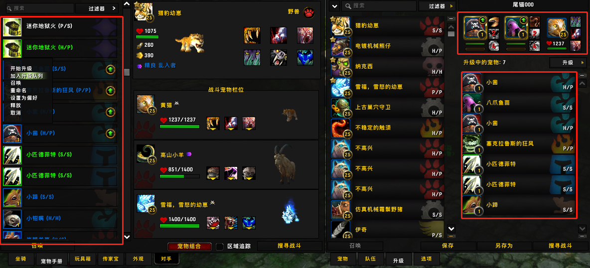 魔兽世界宠物快速提升25级（魔兽世界如何让宠物快速升级）