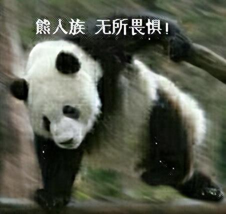 云顶之弈最新阵容排行2022（云顶S7.5最强阵容推荐及运营思路）