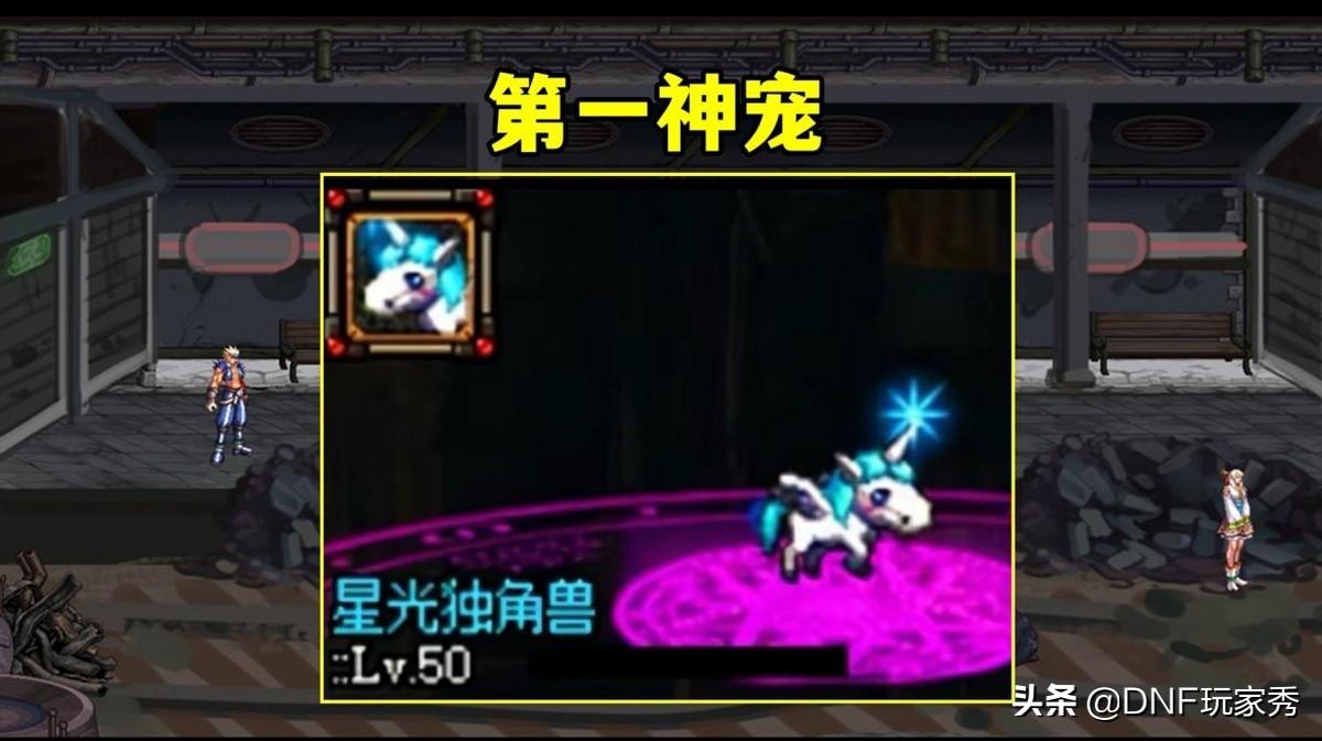 dnf宠物排行榜2022（dnf绝版宠物排行榜）
