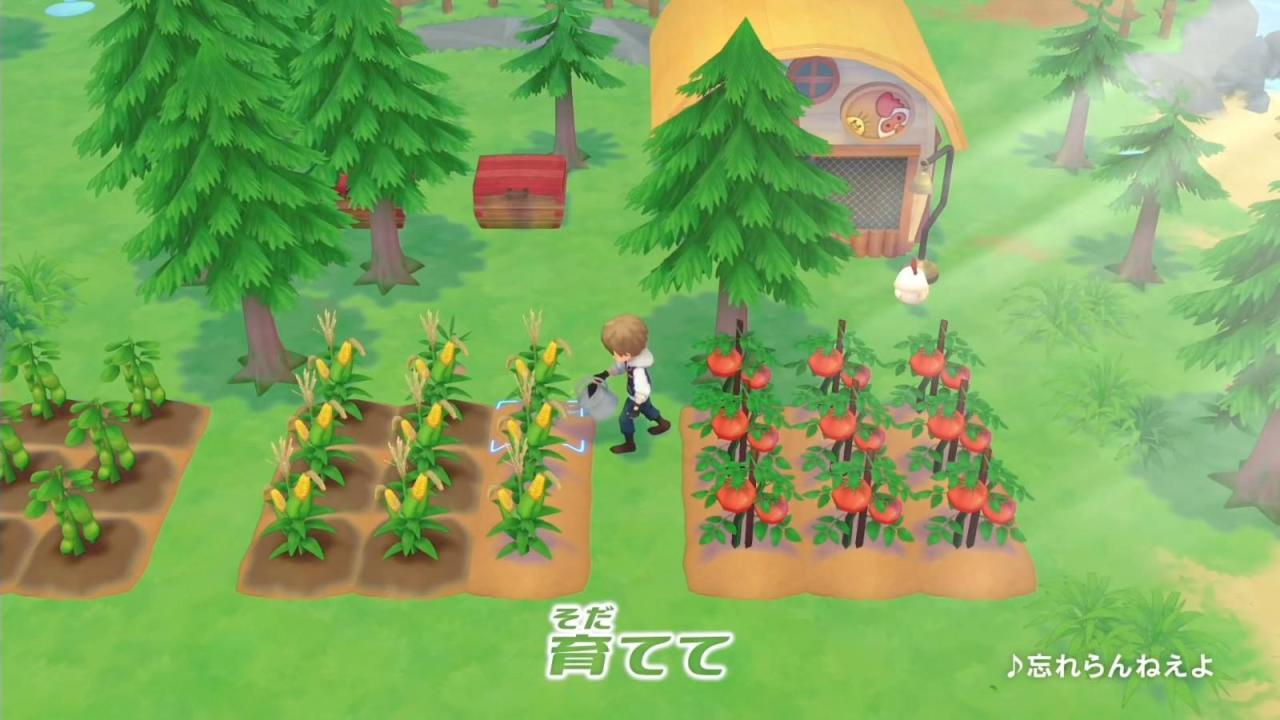 牧场物语第一年冬季怎么过（牧场物语重聚矿石镇第一年冬季攻略大全）