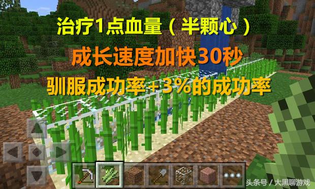我的世界马吃什么食物（我的世界怎么养马）