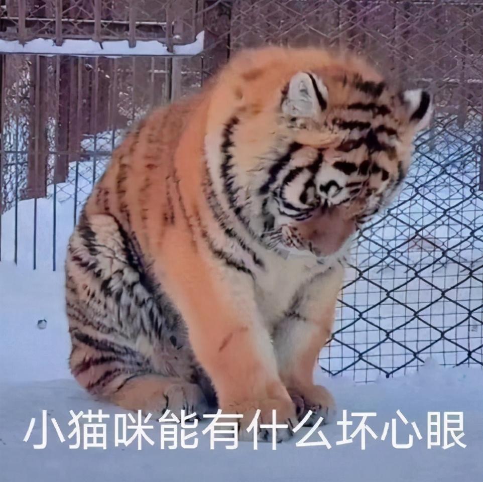 天谕如何搬砖变现（天谕萌新怎么搬砖赚钱）