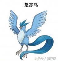 究极日月捕捉点一览表（宝可梦究极日月 历代神兽捕抓地点及心得）