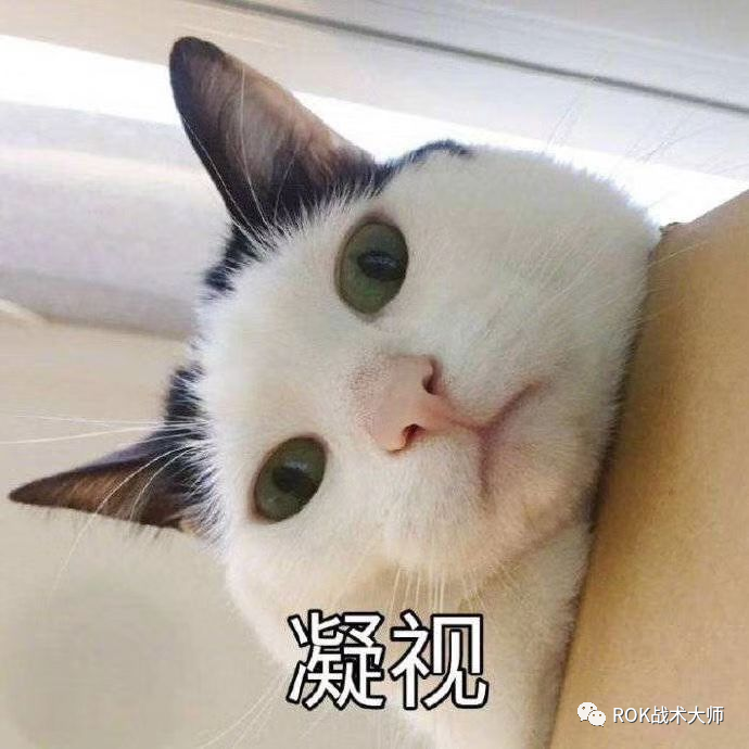 万国觉醒步兵有哪些（万国觉醒步兵迭代介绍）